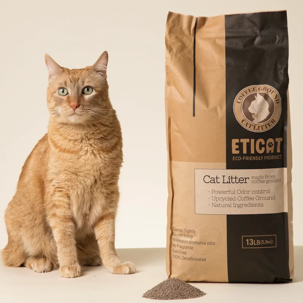 cat with Eticat coffee grounds cat litter