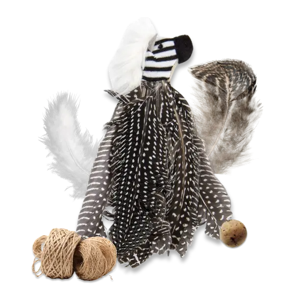 slider main picture toys for cats