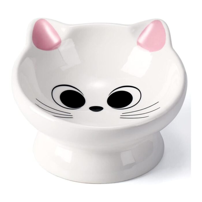 AISBUGUR Raised Cat Food Bowl Ceramic 15° Pink