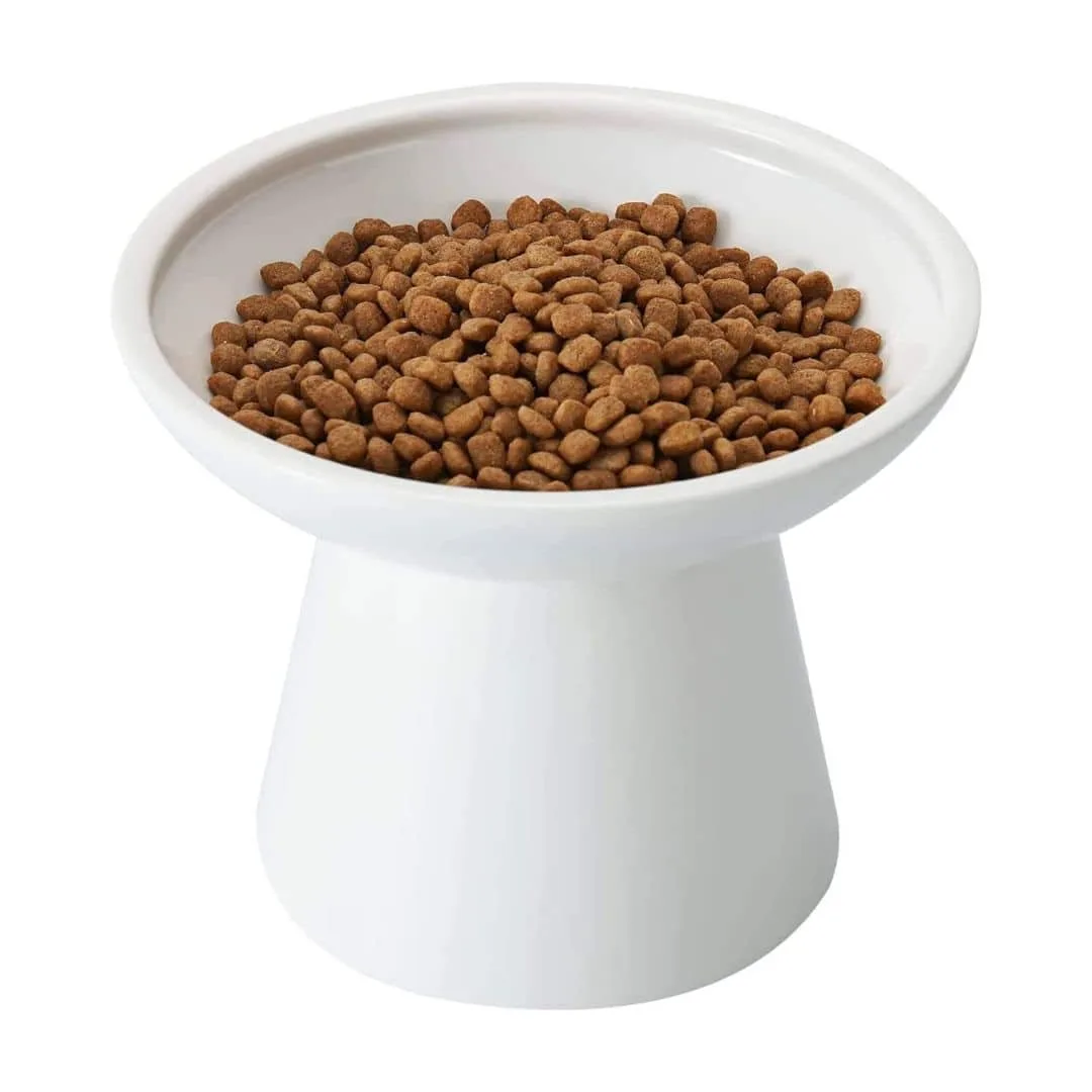 CEEFU Extra Wide Elevated Ceramic Cat Food Bowl White CEEFU Extra Wide Elevated Ceramic Cat Food Bowl White