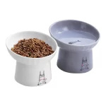 OMAYKEY Extra Wide Ceramic Raised Cat Bowl Set