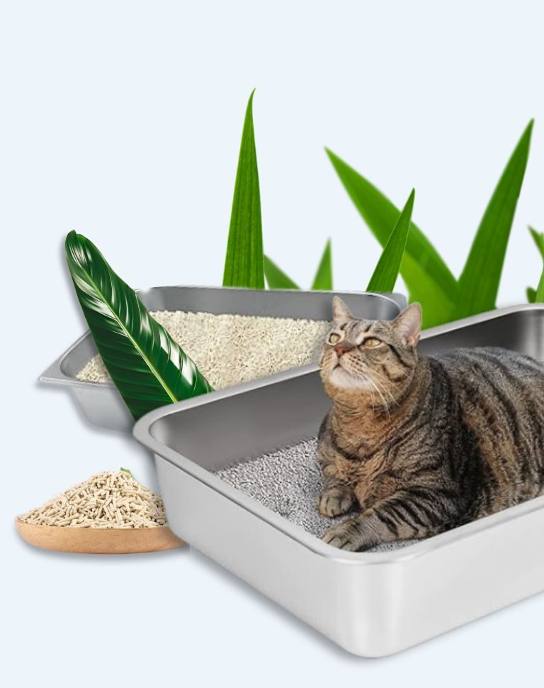 stainless steel litter box and cat